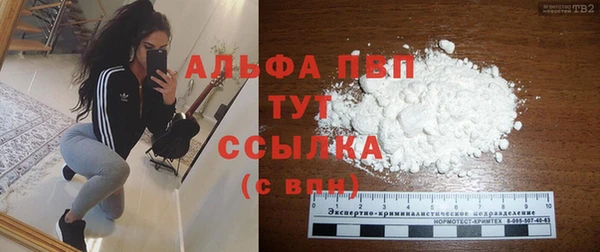 МДПВ Ветлуга